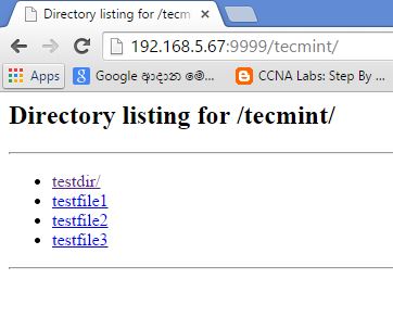 Directory Listing on Different Port