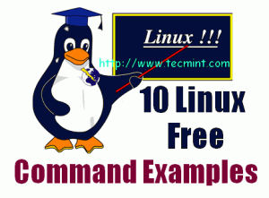 Linux Free command Linux Free command
